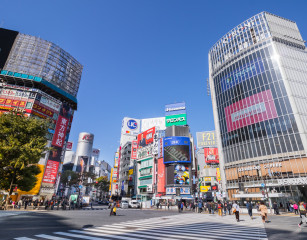 渋谷区