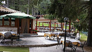 La Pinetina inside