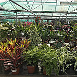 Southern Lakeland Nurseries outside