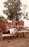 La Ferme de Melusine outside