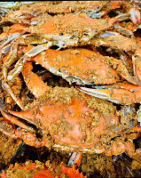 Captain Bob's Crabs food