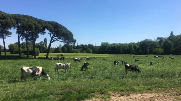 La Ferme l'Hirondelle food