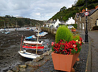 The Ship Inn Lower Fishguard outside