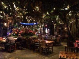 Rainforest Cafe Menlo Park Mall outside