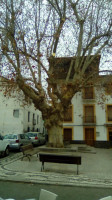 La Taberna De Guillermo inside