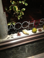 Bacchus Wine Sake food