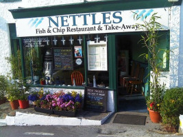 Nettles outside