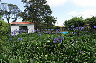 Colina Flora inside