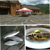 Golden Trout food