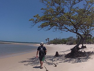 Ilha do Coroata