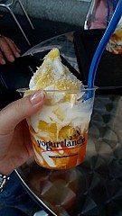 Yogurtlandia