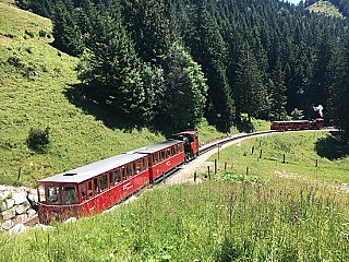 Gasthof Schafbergalpe