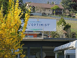 L'Optimist'