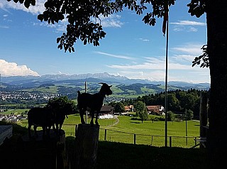 Landgasthof Säntisblick