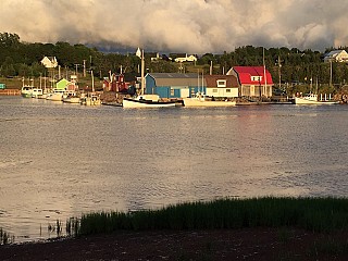 Carr's Oysters