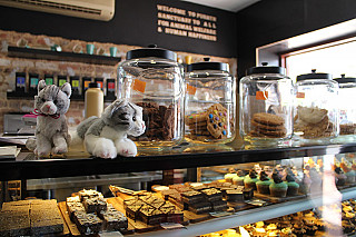 The Cat Café Perth