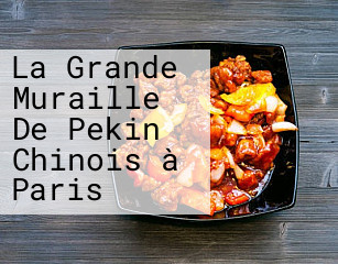 La Grande Muraille De Pekin Chinois à Paris