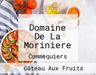 Domaine De La Moriniere