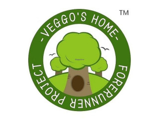 Veggo's Home