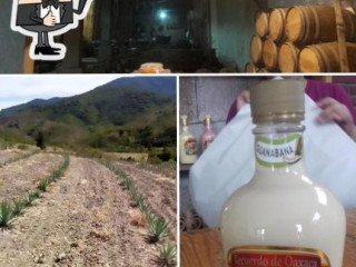 Fabrica De Mezcales El Sabino