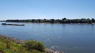 Rheinwacht Café und Restaurant