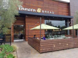 Panera Bread