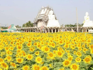 ครัวสามพี่น้อง กำแพงแสน นครปฐม