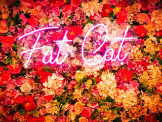 Fat Cat Cafe