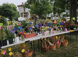 Farmer's Market