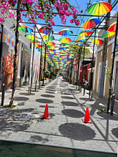 Umbrella Street