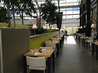 Glasshouse Bistro & Cafe