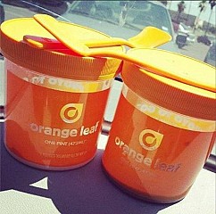 Orange Leaf