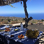 Bodegas Tamanca Sl.