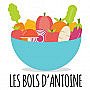 Les Bols D'antoine