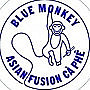 Blue Monkey