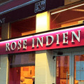 Rose Indien