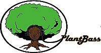 Plantbass Bk