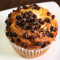 Chocolate Chip Muffin (780)