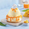 Vanille-Ijs Met Cheesecake-Ijscoupe Met Mangosaus