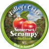 Somerset Scrumpy Medium