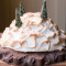 Baked Alaska