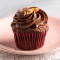 Eggless Chocolate Hazelnut Cupcake [1 Piece]