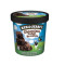 Ben En Jerry Ice Cream Fudge Brownie Pint