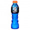 Gatorade Woeste Druif