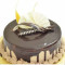 Delight Chocolate Cake 1 Pound)