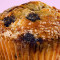 Bosbessen Mammoet Muffin