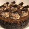 Chocolate Cheese Cake (500 Gms)