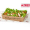 Zinger Saladebox