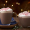 16Oz Peppermint Mocha Latte