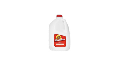 Borden Volle Melk Gallon